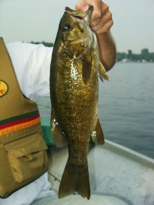 Fish 2002
