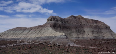 Petrified Forest N.P.
