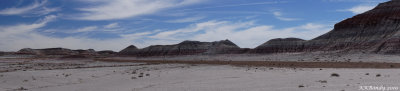 Petrified Forest N.P.