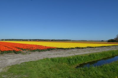 omgeving Sint Maartensvlotbrug