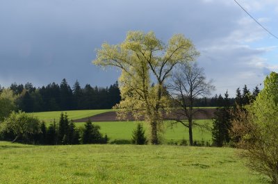 g12/28/763628/3/170068584.xpvJ02aN.jpg