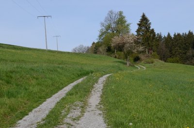 Vorderwald
