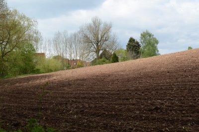 Adelmannsfelden