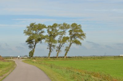 g12/28/763628/3/171333106.KFEgelyh.jpg