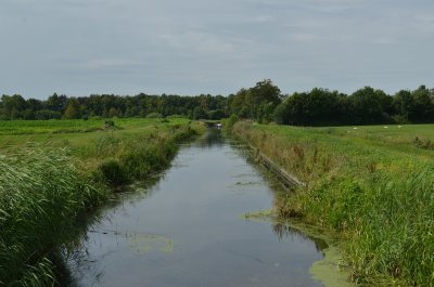 Leijenspaad