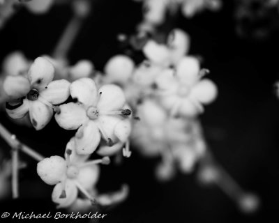 20190708DS2_0983.jpg