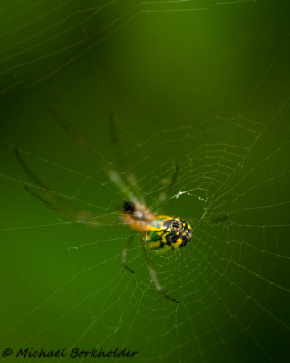 20190708DS2_1003.jpg