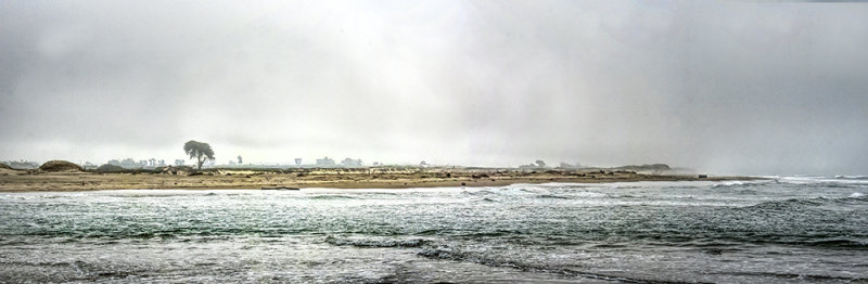 Pajaro Dunes