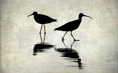 Pajaro Dunes