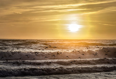 Pajaro Dunes