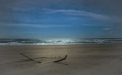 Pajaro Dunes