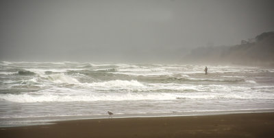 Pajaro Dunes