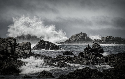 Pacific Grove, CA