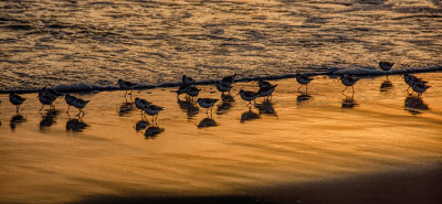 Pajaro Dunes