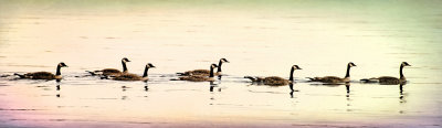 Canadian Shore Patrol