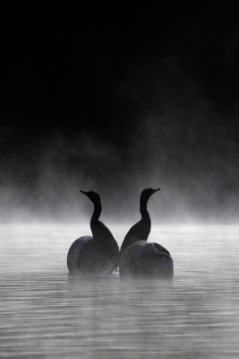 Bookends