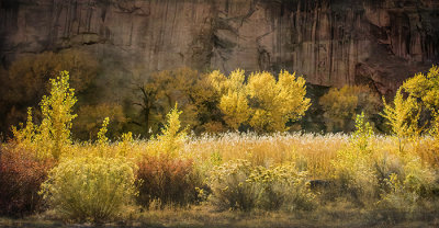 Capitol Reef National Park