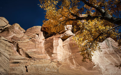 Capitol Reef National Park