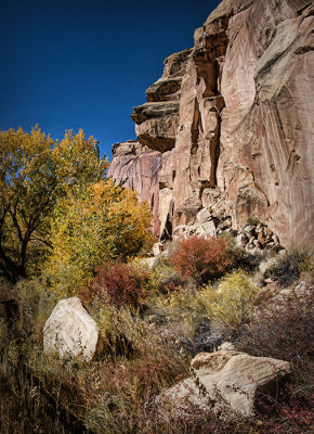 Capitol Reef National Park