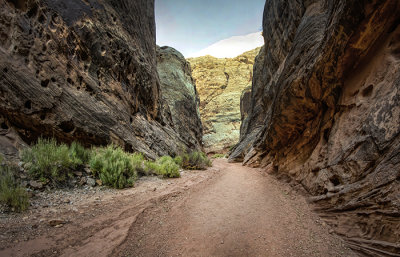 Capitol Reef National Park