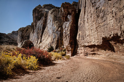 Capitol Reef National Park