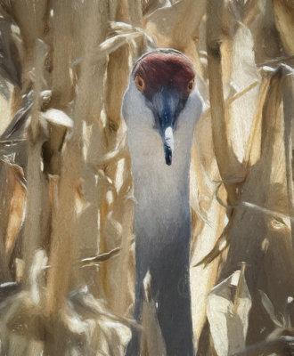 Not Quite Hidden