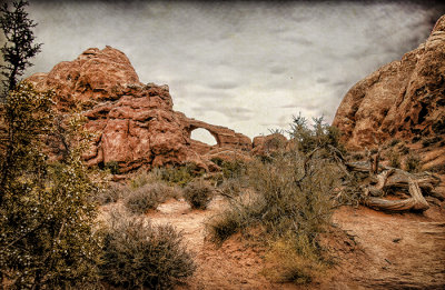 Arches National Park