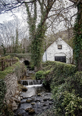 Remembering Ireland