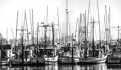 Bodega Bay Harbor
