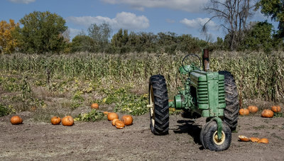 Wagner Pumpkin Patch