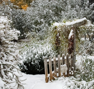 First Snowfall