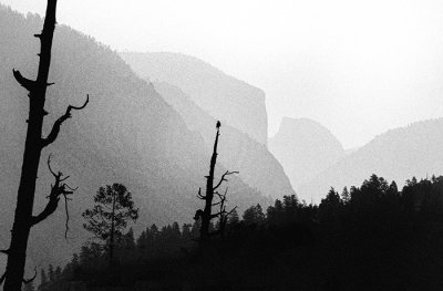 Yosemite Sentinel