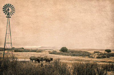 Cimarron Prairie