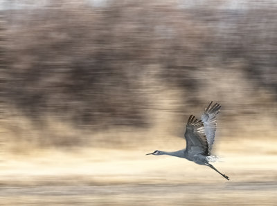 Crane at Mach 1