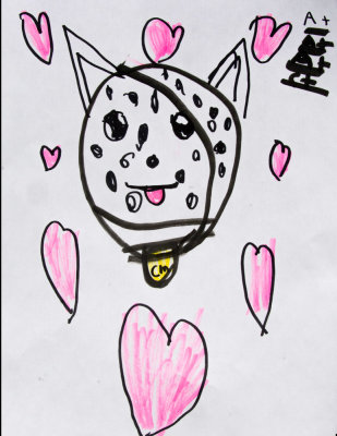 Clay Valentine for Cosmo the Dog