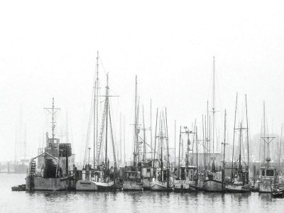 Mendocino Harbor