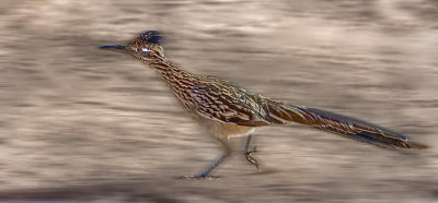 Running Late