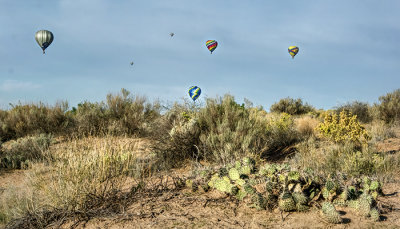 Albuquerque Hot Air Balloon Fiesta, 2021