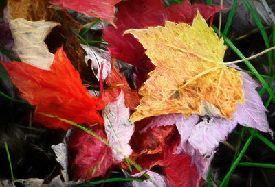 Octobers Colors