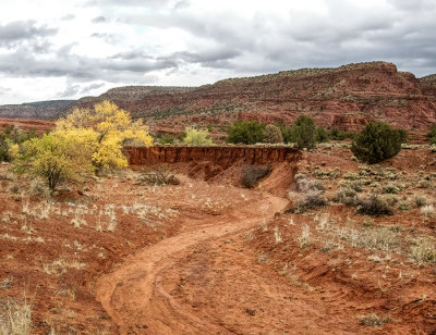 Jemez Springs