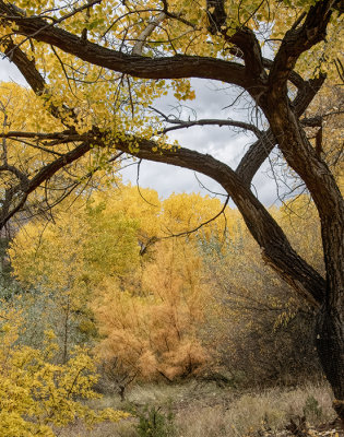 Jemez Springs