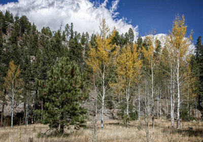 Jemez Springs