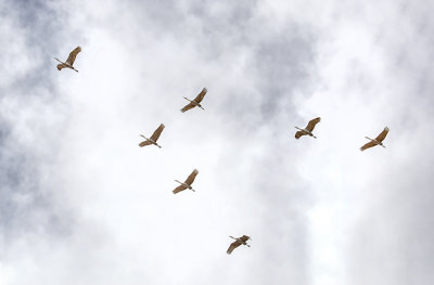 Overflight - Heading South