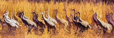 Convention of Cranes