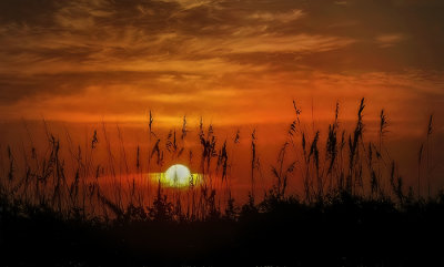 Eastern Sunrise