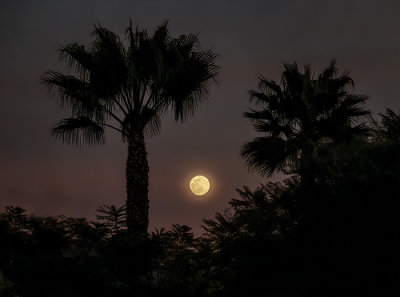 Full Menehune Moon, Somewhere on Kauai