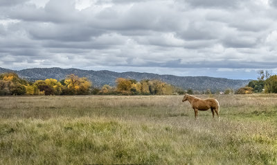 Abiquiu-Chama, New Mexico