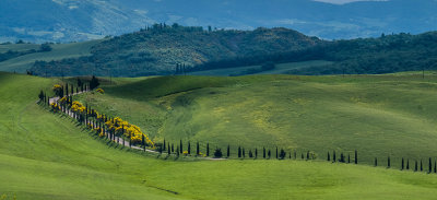 Rolling Hills of Val d'Orcia