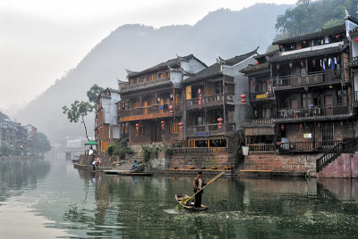 Thousand Year-old Fenghuang 