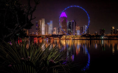 The Singapore Flyer